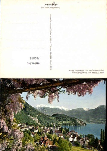760815 vitznau - 760815,